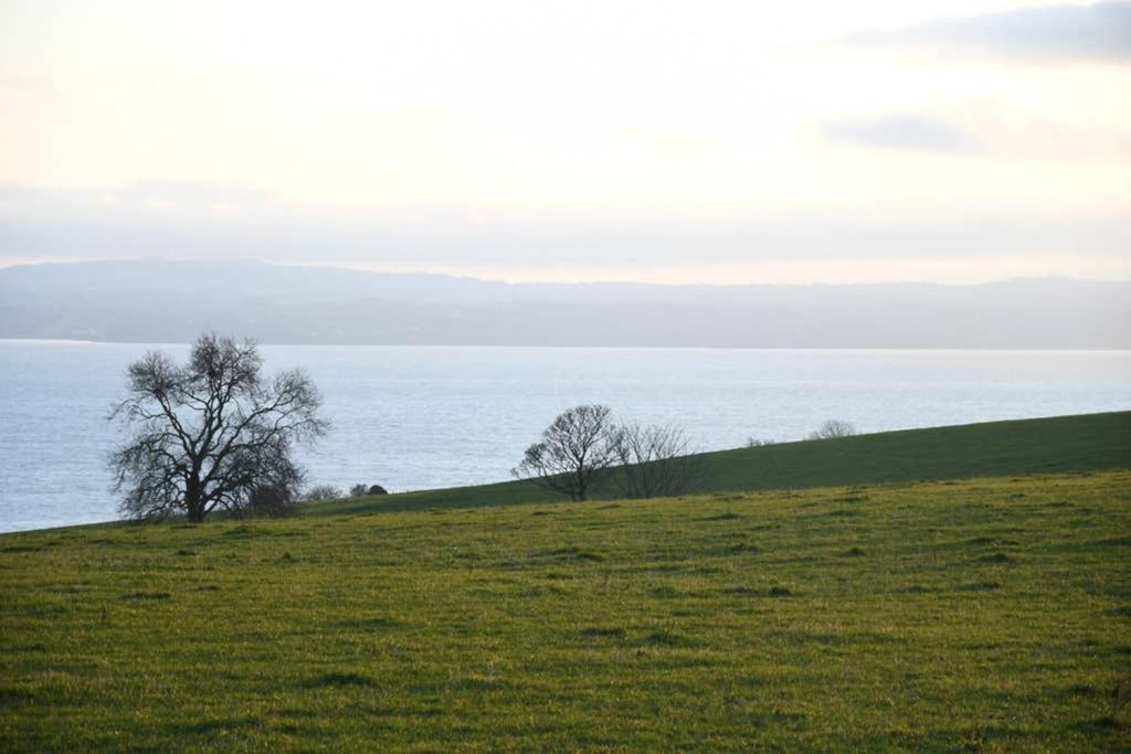 Whitehead Holiday Cottage Экстерьер фото